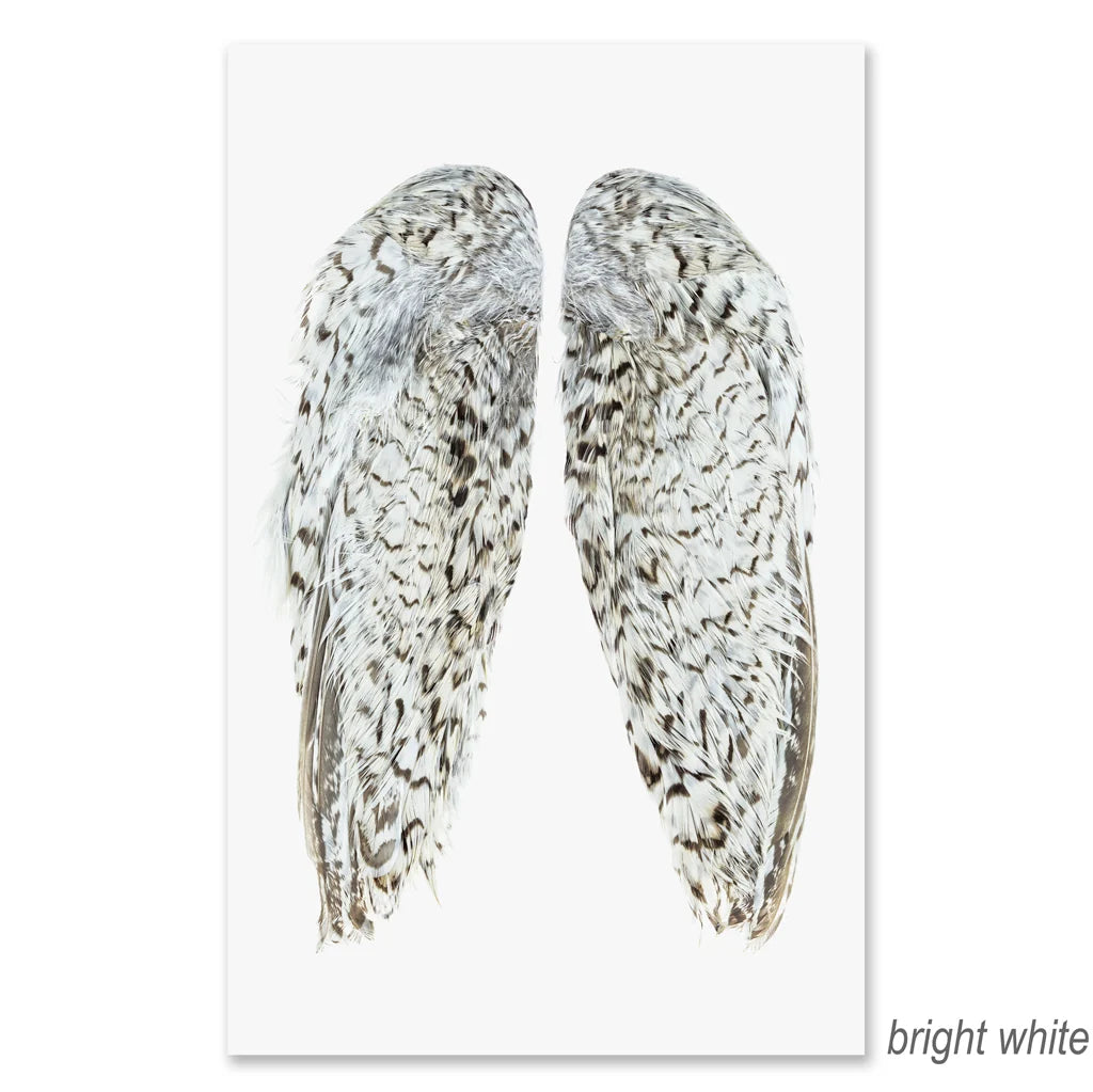 Snowflake Quail Wings Fine Art Print