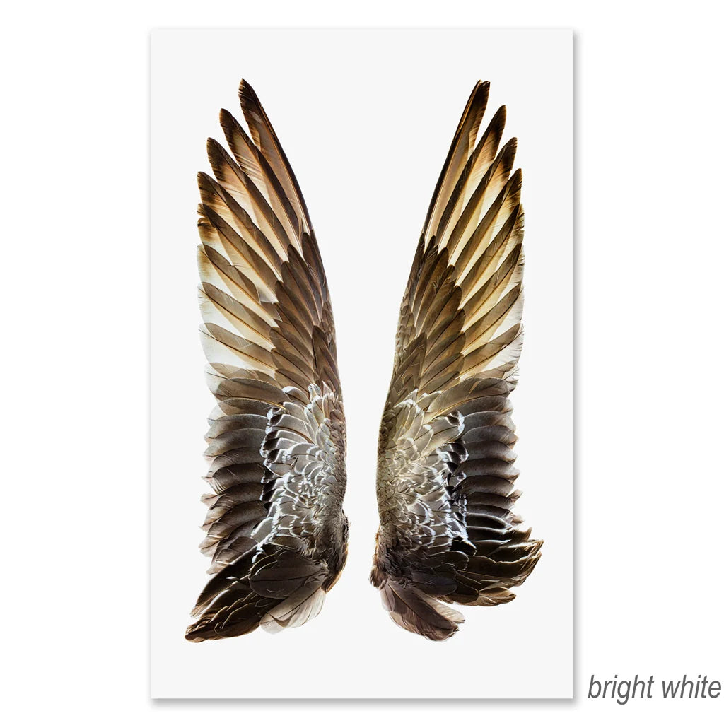 Gadwall Duck Wings Fine Art Print