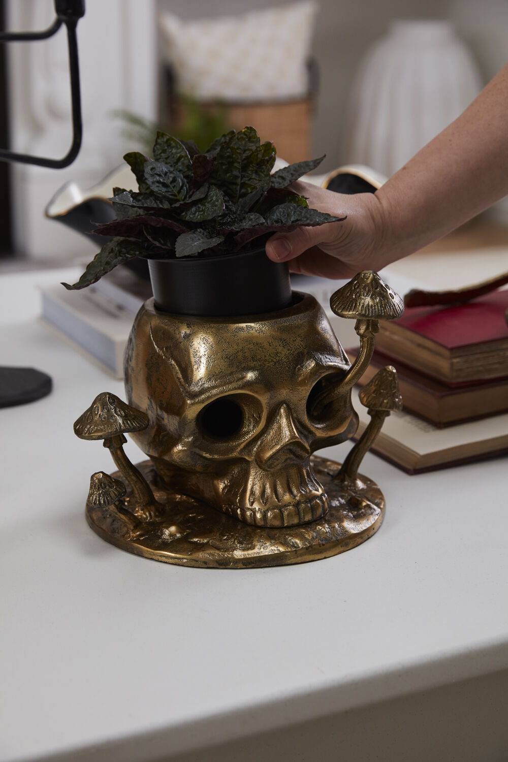 Cranium Pot | Antique Gold Skull Planter