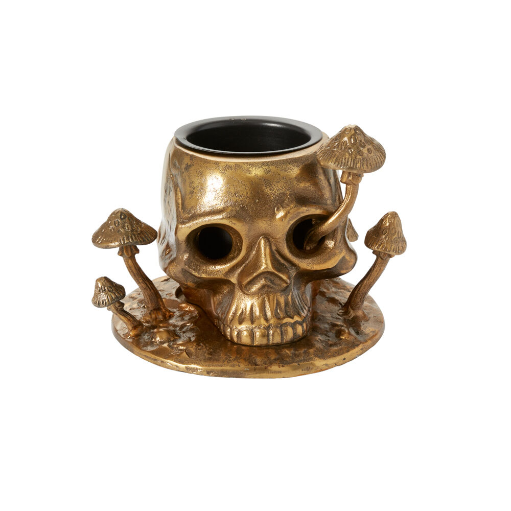 Cranium Pot | Antique Gold Skull Planter
