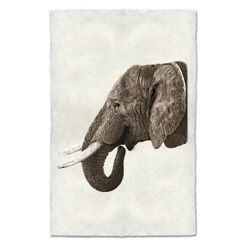 Safari Elephant - Eric & Eloise Collection
