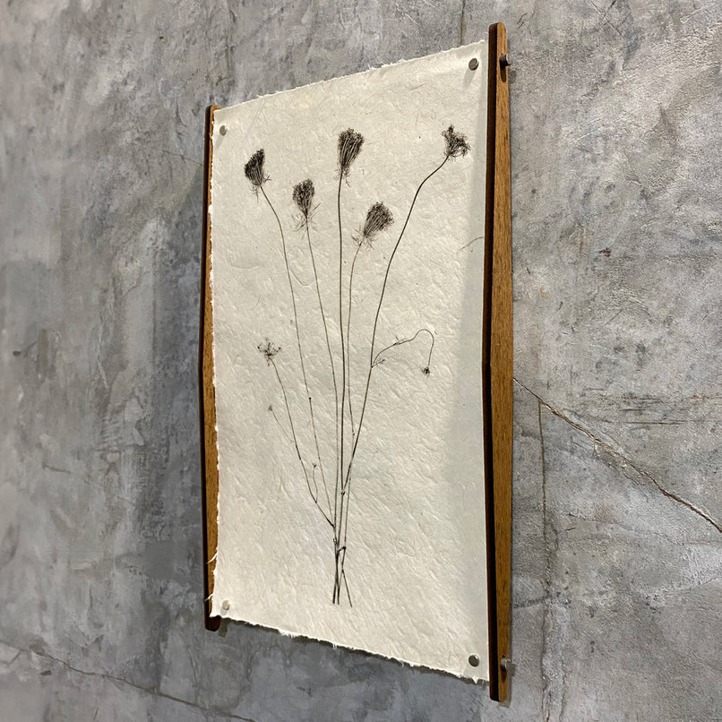 Hans Wood Hanger - Eric & Eloise Collection