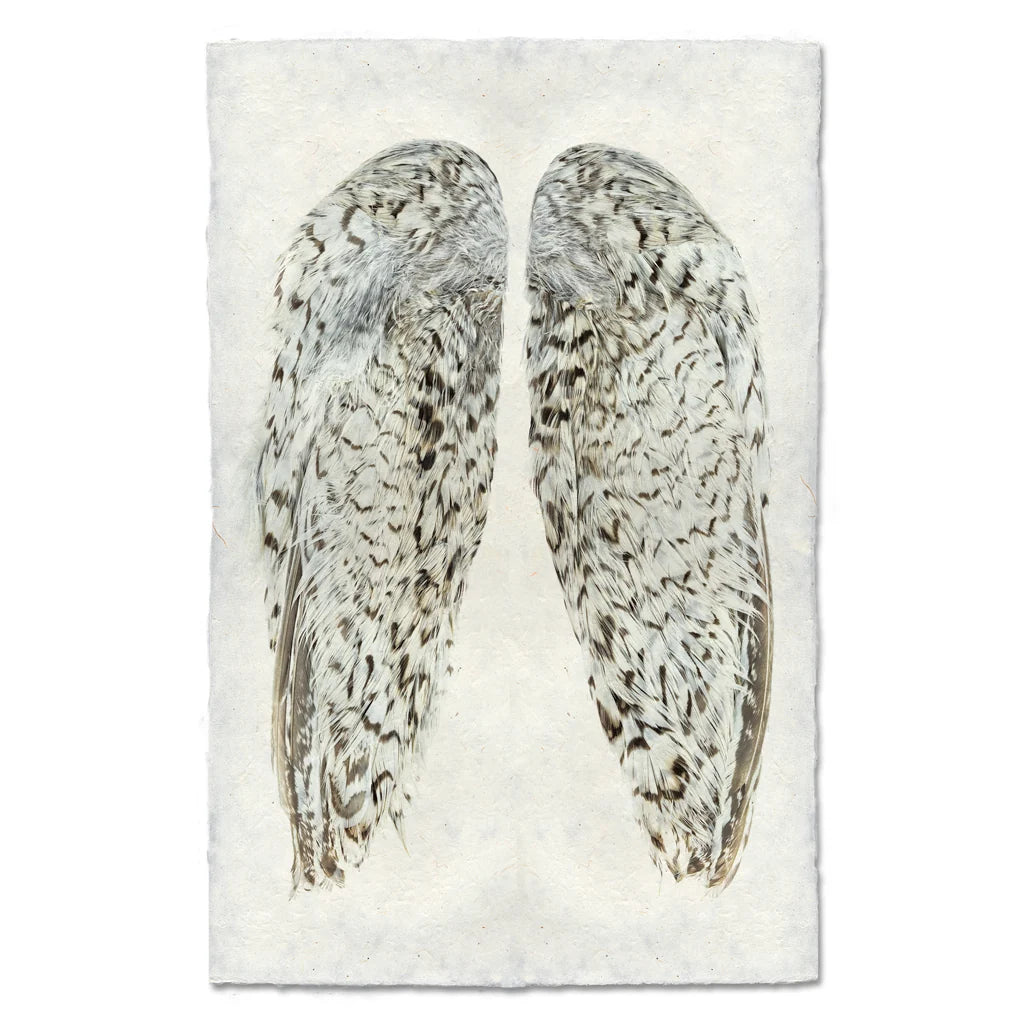 Snowflake Quail Wings Fine Art Print