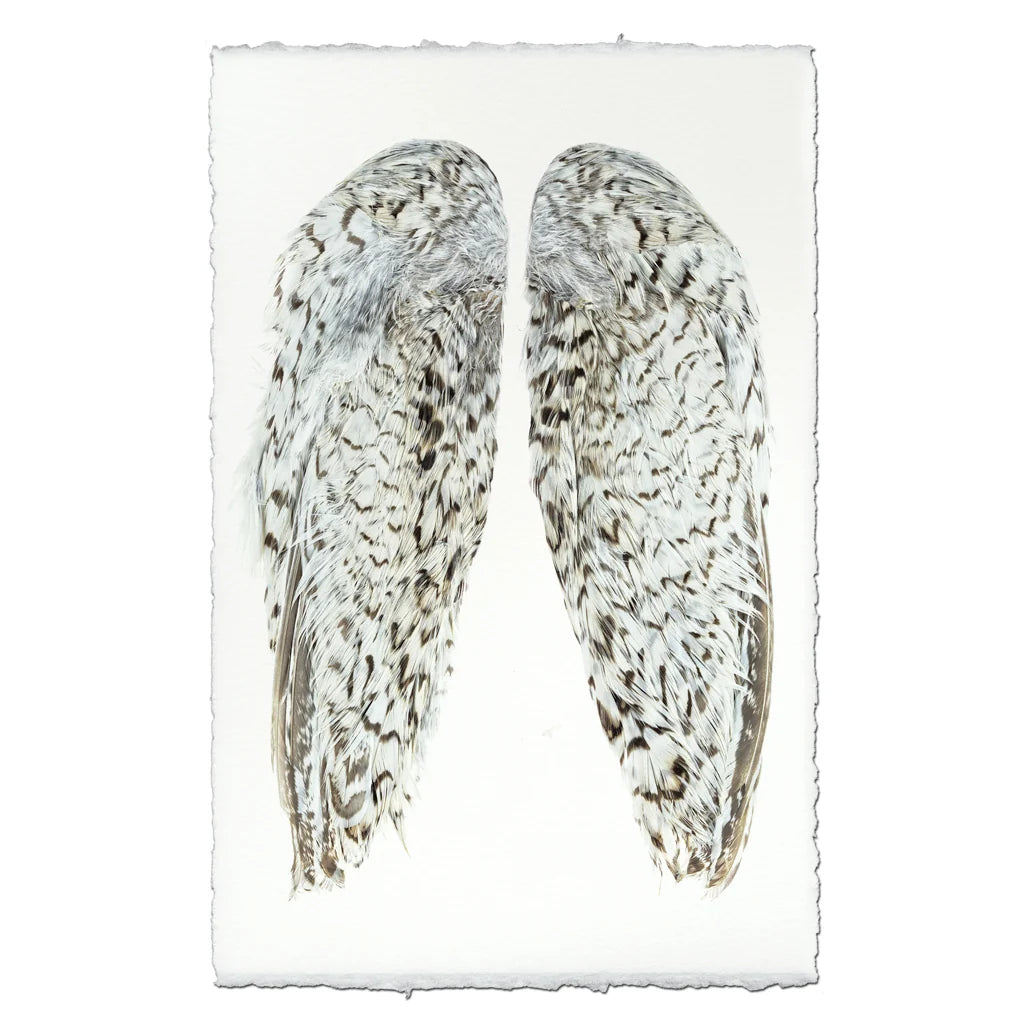 Snowflake Quail Wings Fine Art Print