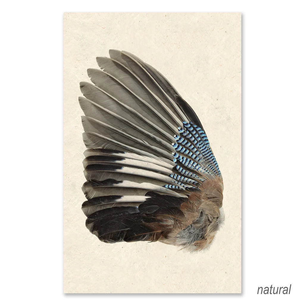 Jay Wing Left - Eric & Eloise Collection