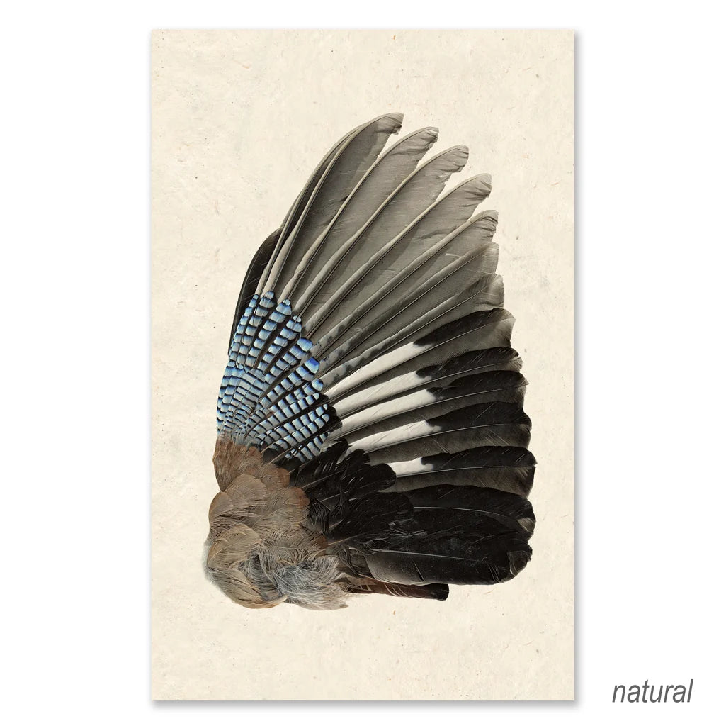 Jay Wing Right - Eric & Eloise Collection