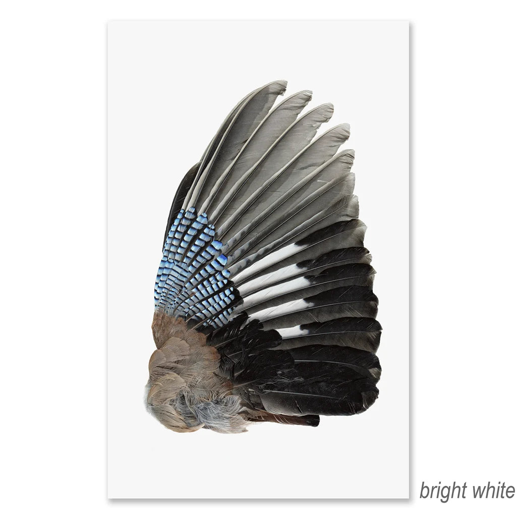 Jay Wing Right - Eric & Eloise Collection