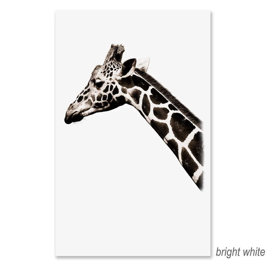 Safari Giraffe - Eric & Eloise Collection