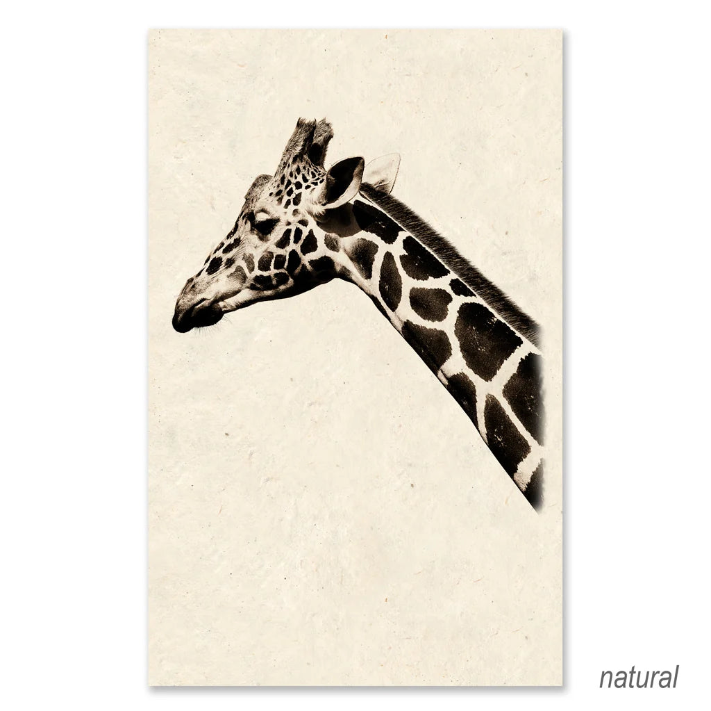 Safari Giraffe - Eric & Eloise Collection