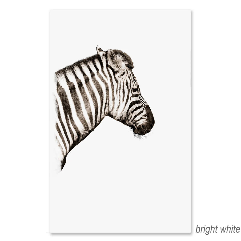 Safari Zebra - Eric & Eloise Collection