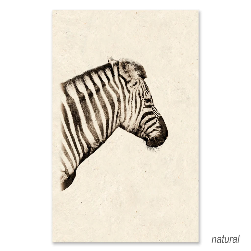 Safari Zebra - Eric & Eloise Collection