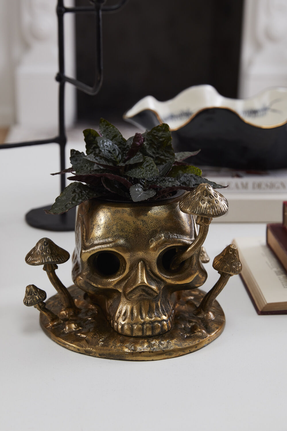 Cranium Pot | Antique Gold Skull Planter
