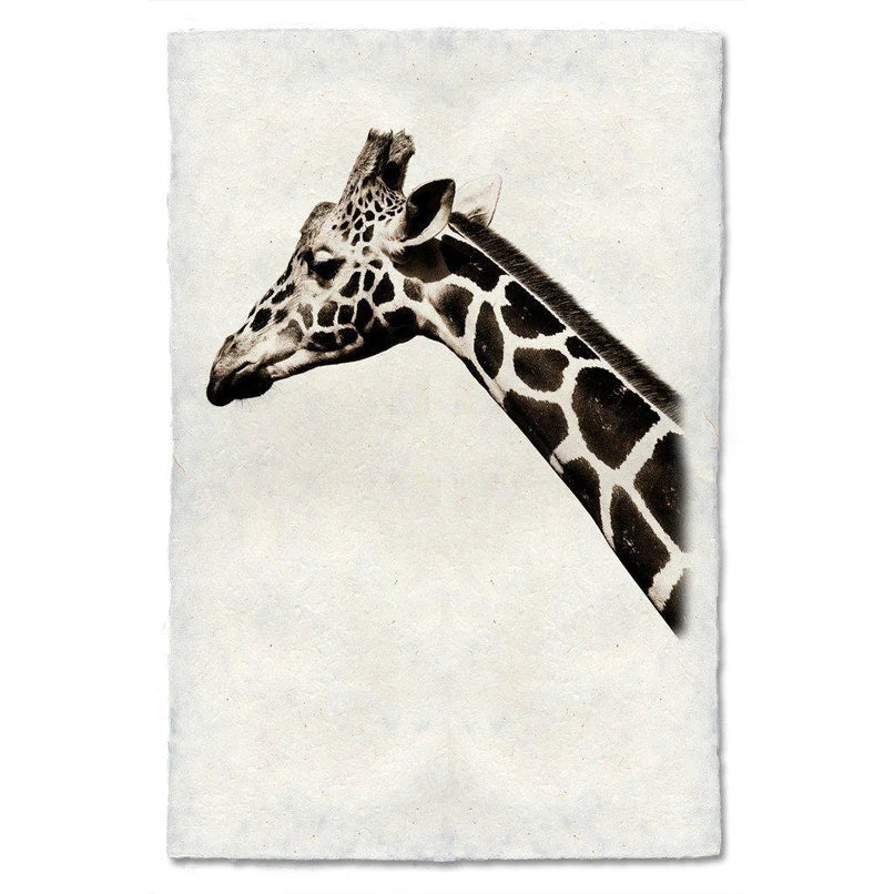 Safari Giraffe - Eric & Eloise Collection
