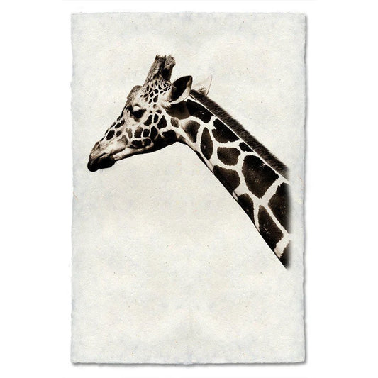 Safari Giraffe - Eric & Eloise Collection