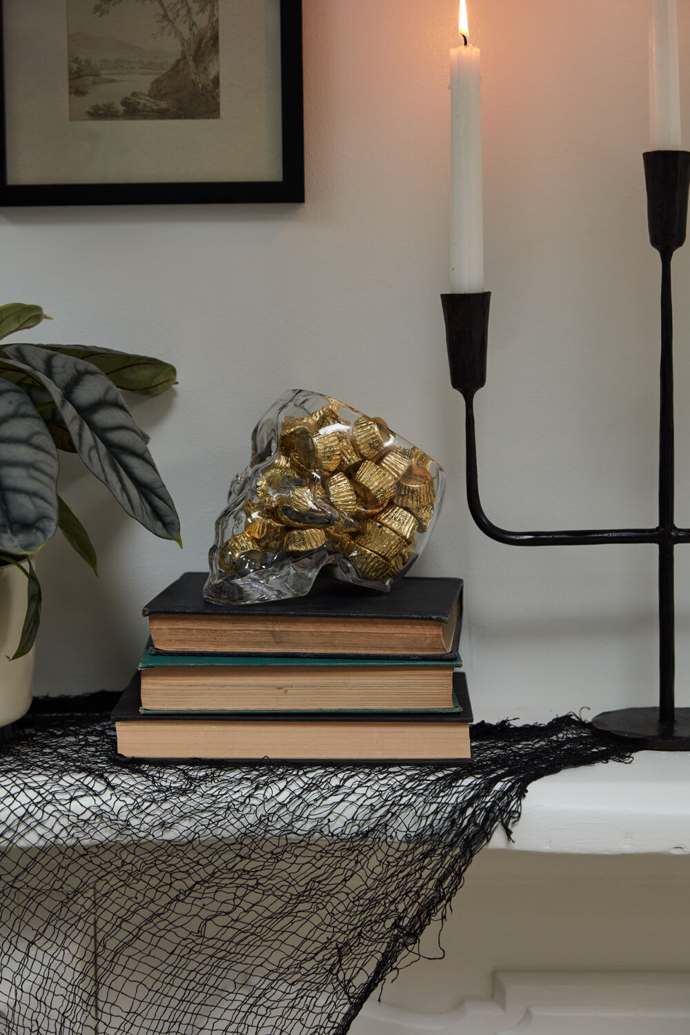 Reaper Pot | Glass Skull Terrarium