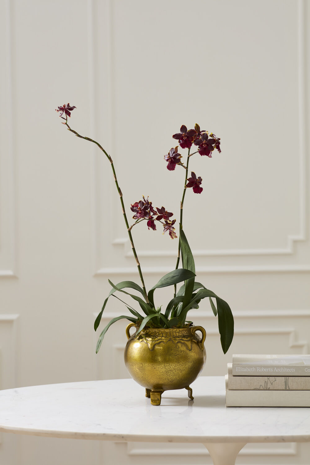 gold bubbling pot cauldron with orchid