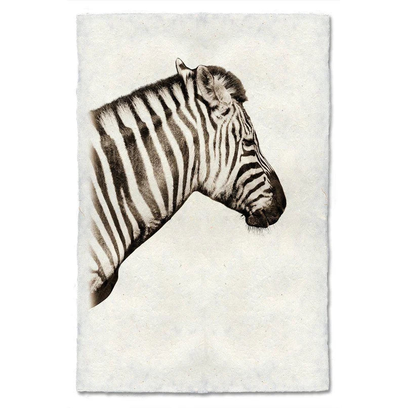 Safari Zebra - Eric & Eloise Collection