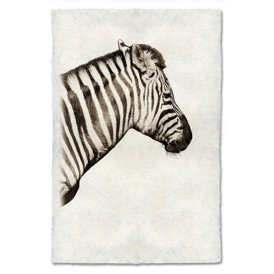 Safari Zebra - Eric & Eloise Collection